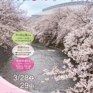 2026町田さくらまつり｜3月28日（土）～3月29日（日）町田市内3会場で開催！桜イベントやスタンプラリーも楽しめる春のイベント