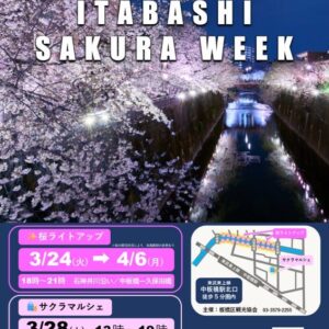 ITABASHI SAKURA WEEK｜2026年3月24日（火）〜4月6日（月）石神井川沿いで開催される桜ライトアップ＆サクラマルシェ